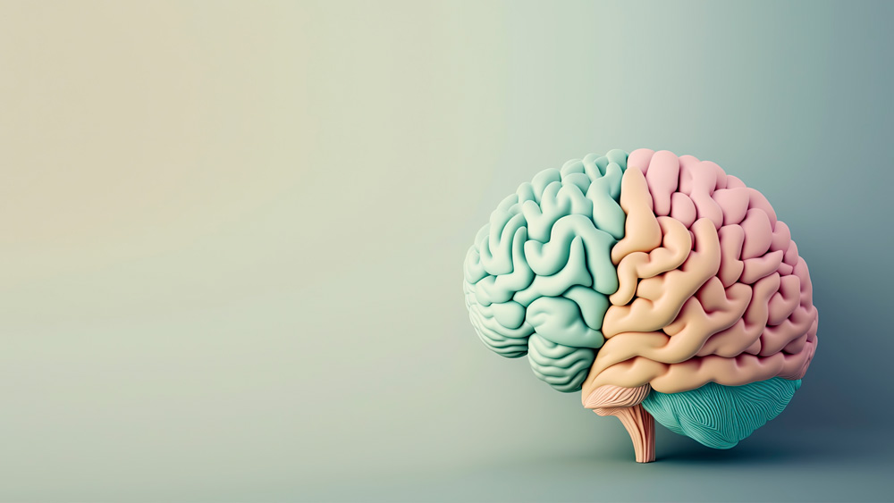 Parkinson Hastalığı: Nedir, Nasıl Beslenilmelidir?
